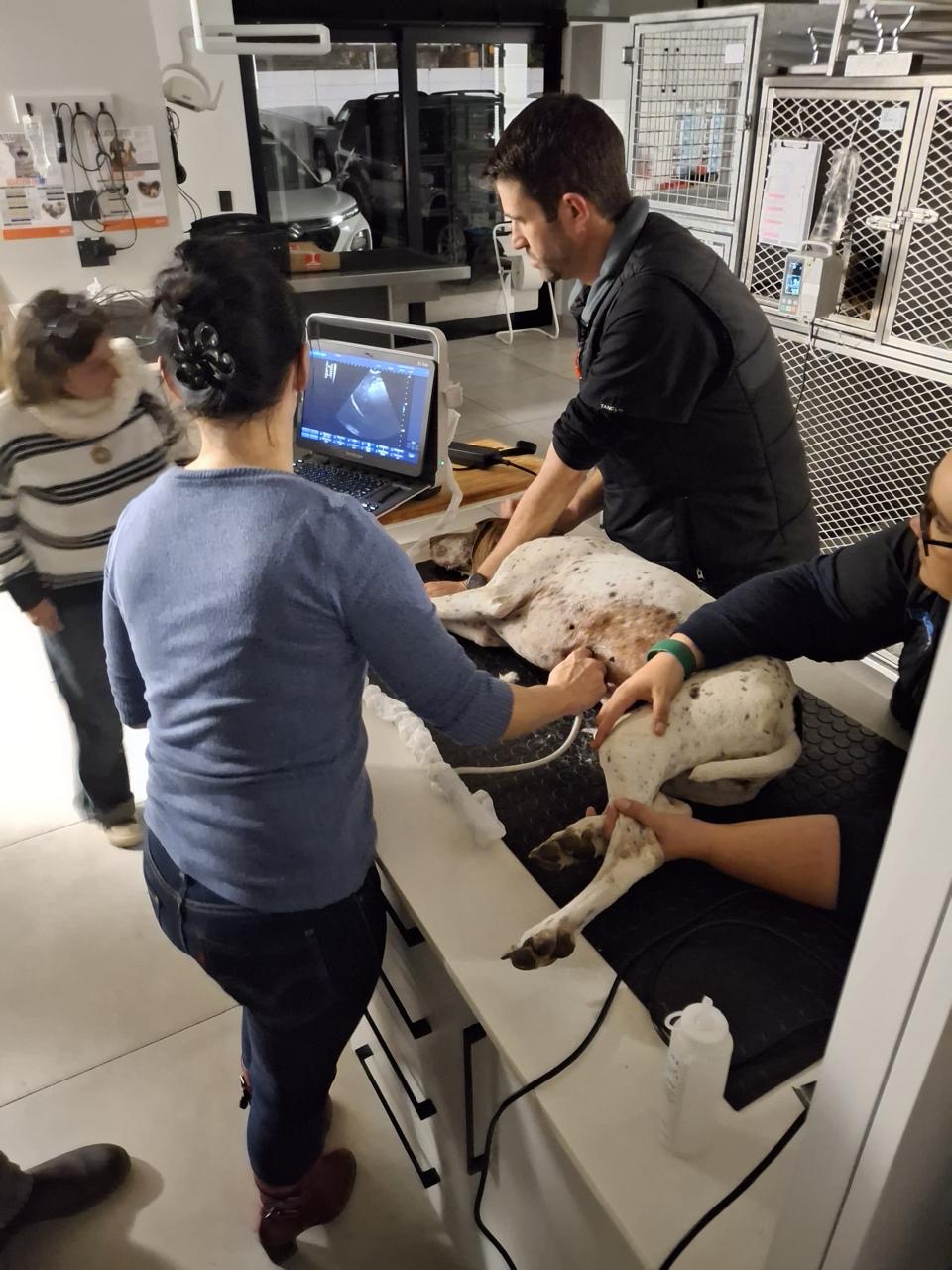 Impilo Medical Clinic facility